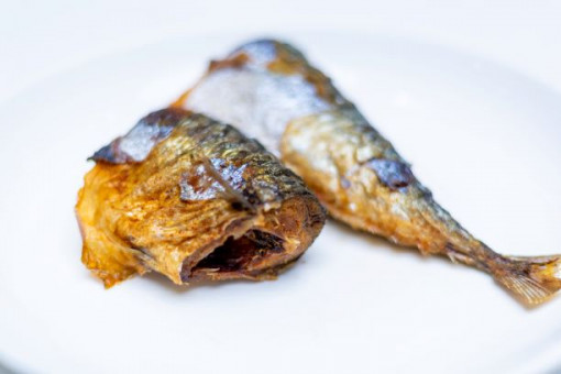 Titus Fish